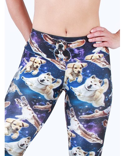 Galaxy dog legging